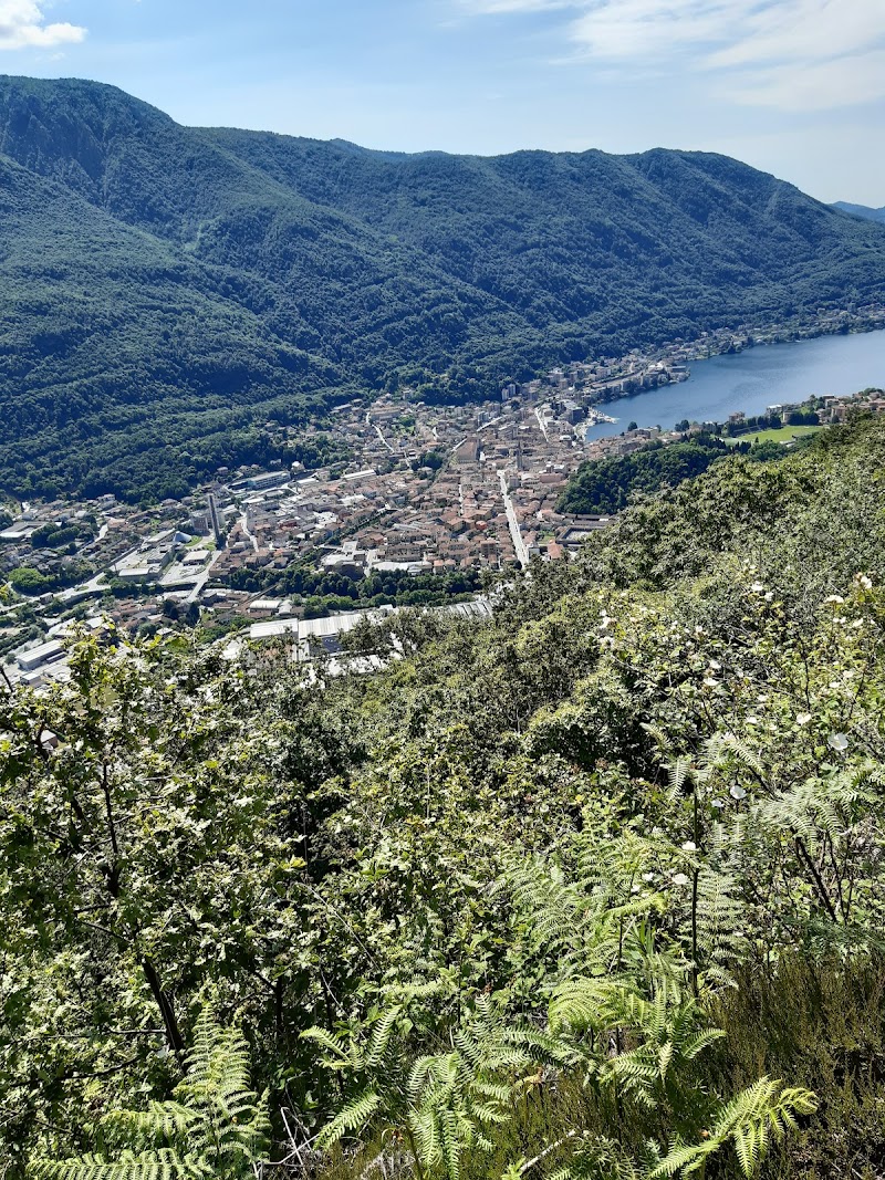 Alpe Colla