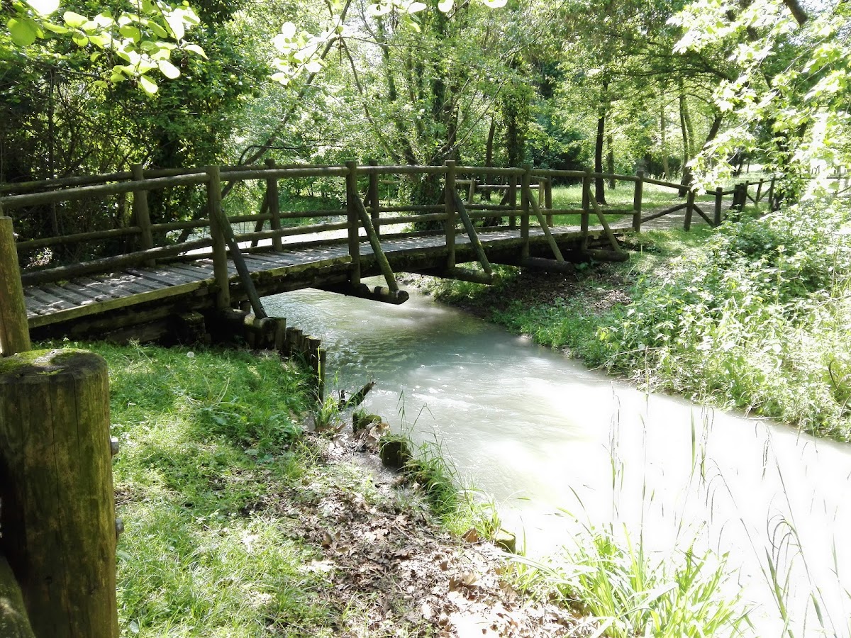 Parco Le Risorgive - Codroipo — Punto di interesse a Udine, Udine