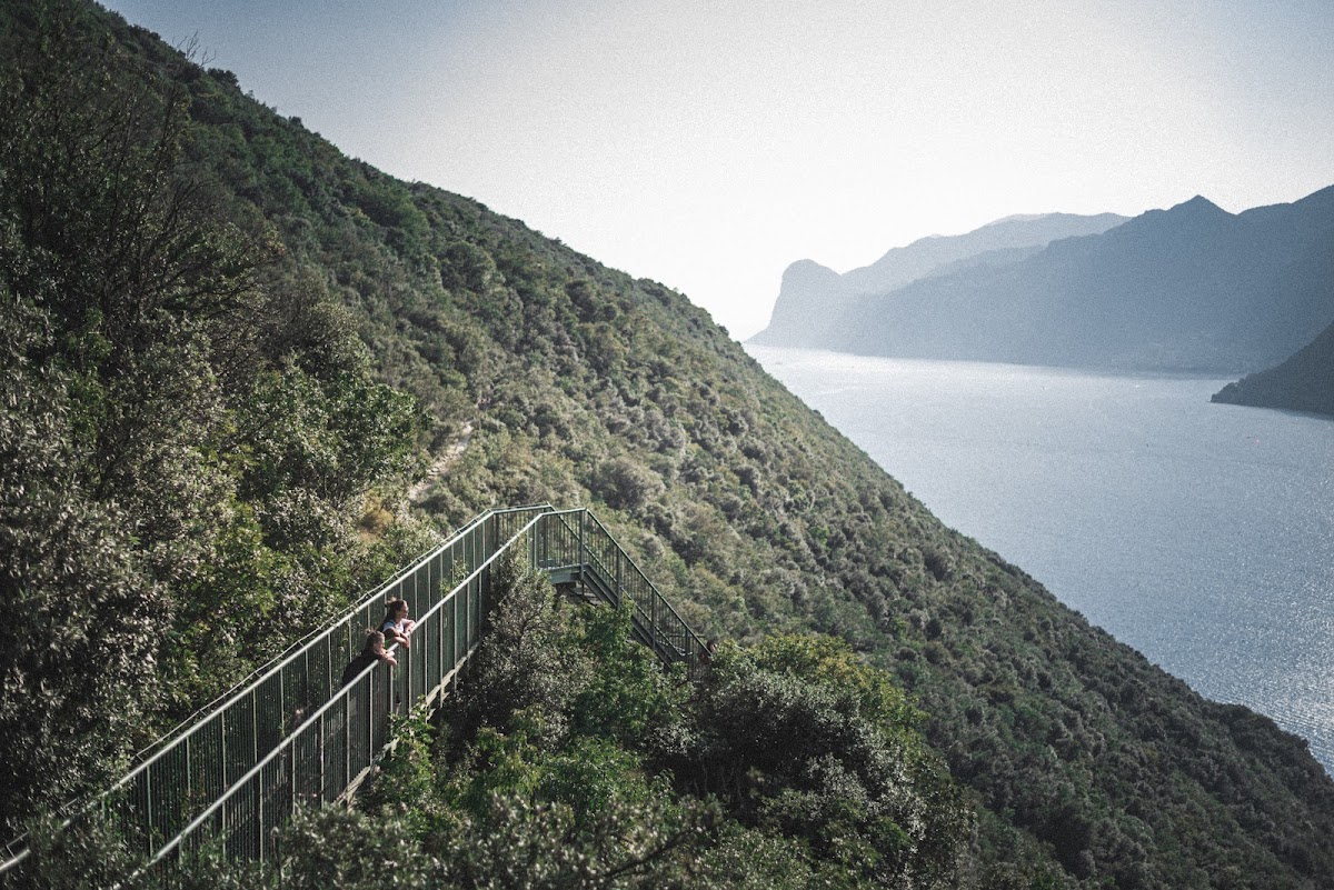 In zona: Sentiero forestale Busatte - Tempesta