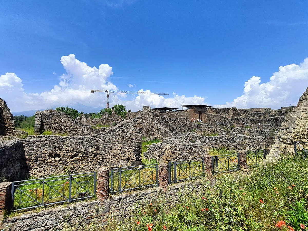 casa del Chirurgo — Punto di interesse , Napoli