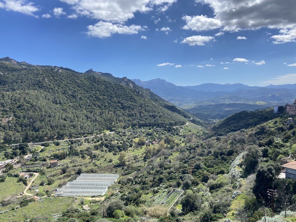 Belvedere Salvatore Sini — Punto di interesse a Nuoro, Nuoro
