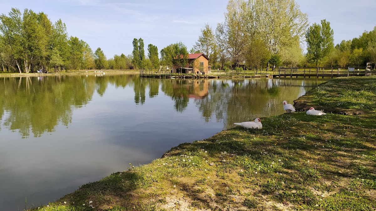 Manzolake — Punto di interesse a Ferrara, Ferrara