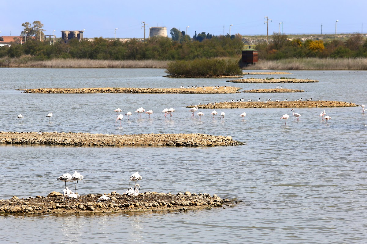 Riserva Naturale Orientata Saline di Priolo — Punto de interés in Siracusa, Siracusa