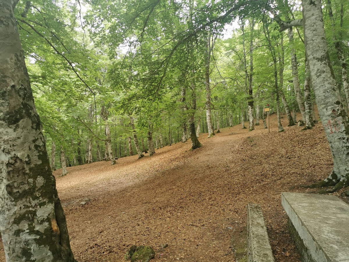 Bosco di Ruoti — Punto di interesse a Potenza, Potenza