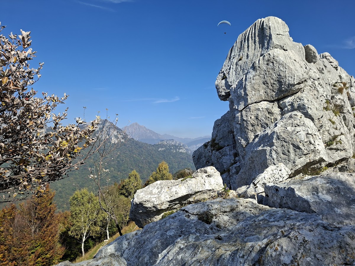 Sasso Malascarpa Nature Reserve — Punto di interesse a Bellagio, Como