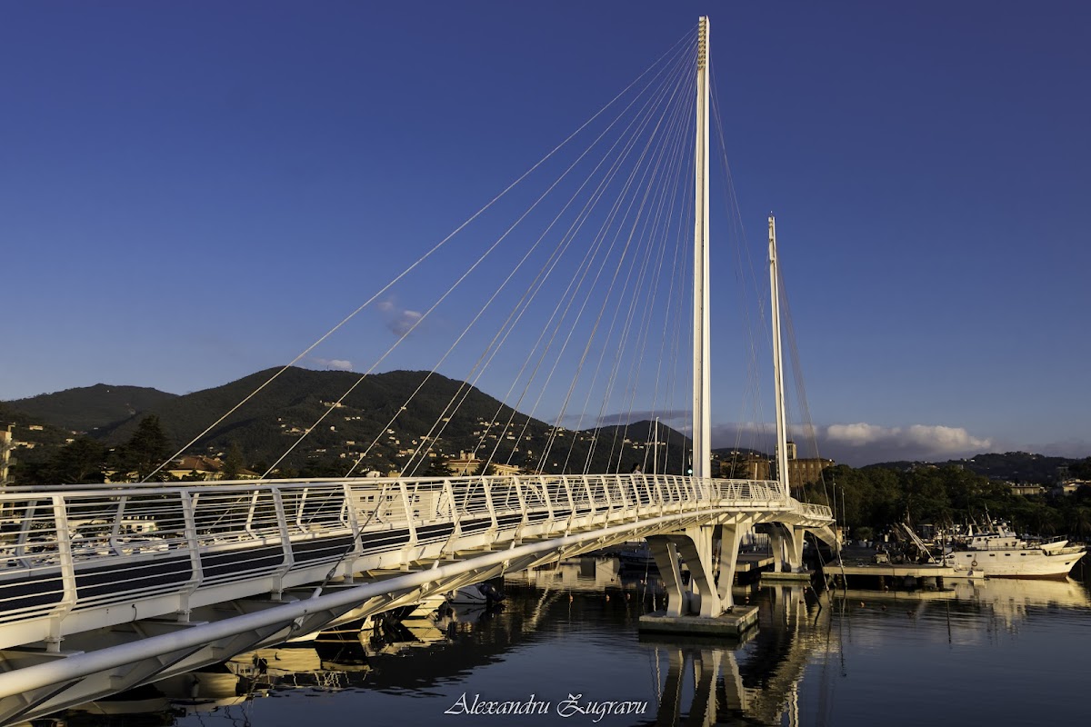 Ponte Thaon di Revel