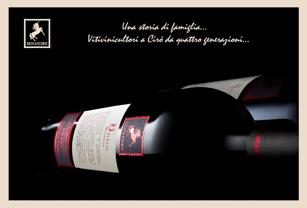 Senatore Vini