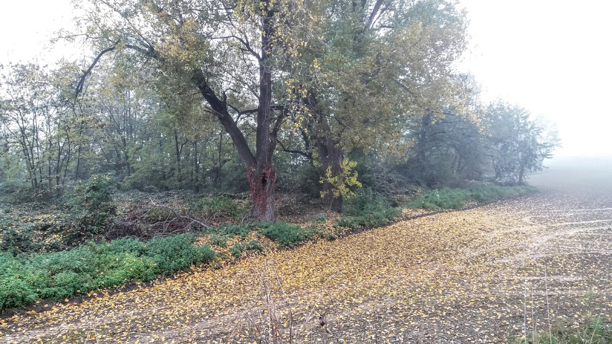 Parco dei Fontanili — Punto di interesse a Milano, Milano