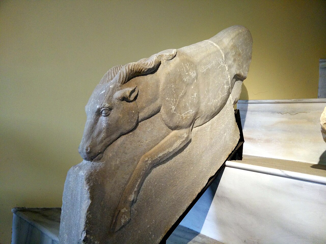 Museo dei gladiatori — Punto di interesse , Napoli