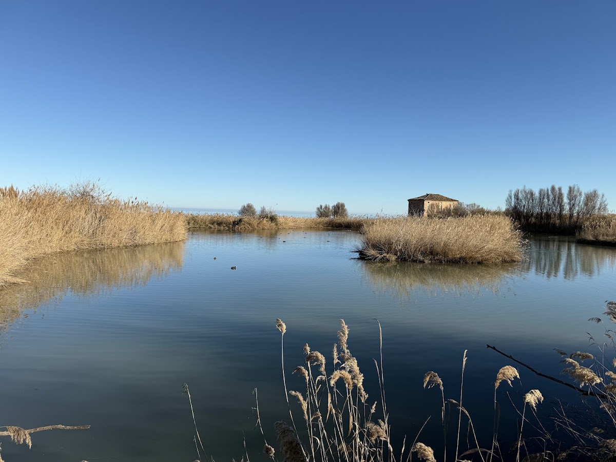Riserva Naturale Regionale Sentina