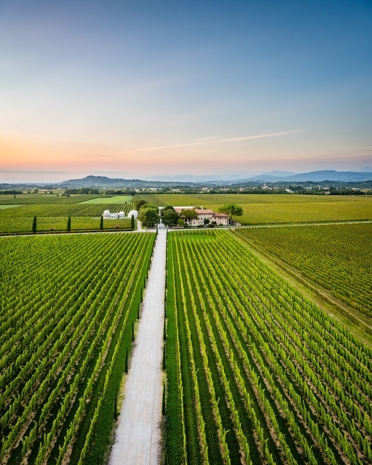Tenuta Borgo Conventi S.R.L. — Punto di interesse a Udine, Udine