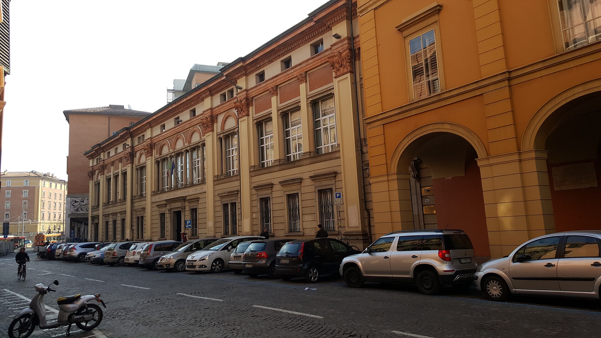 Museo Geologico Giovanni Capellini — Punto di interesse a Bologna, Bologna