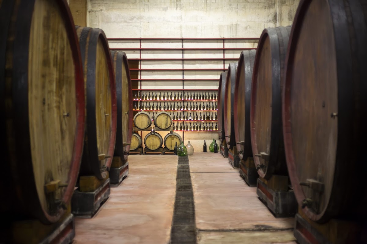 Cantina Villa Pigna