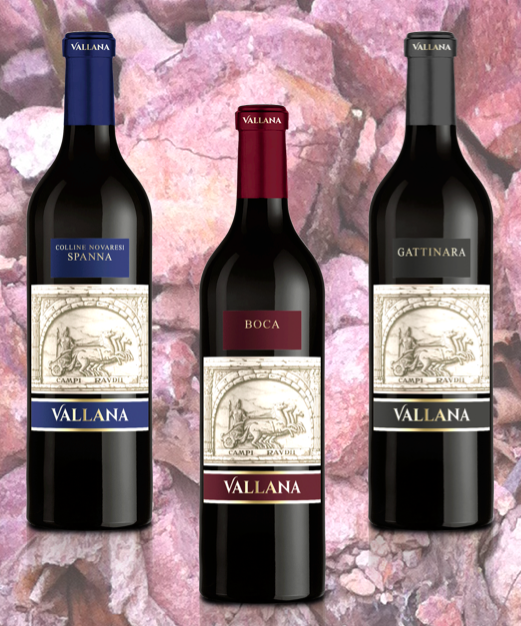 Cantina Winery Vallana Alto Piemonte — Ristorante a Orta San Giulio, Novara