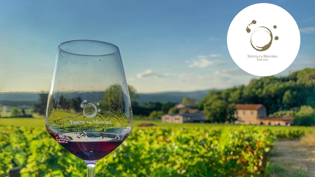 Tenuta la Macchia - azienda Vinicola