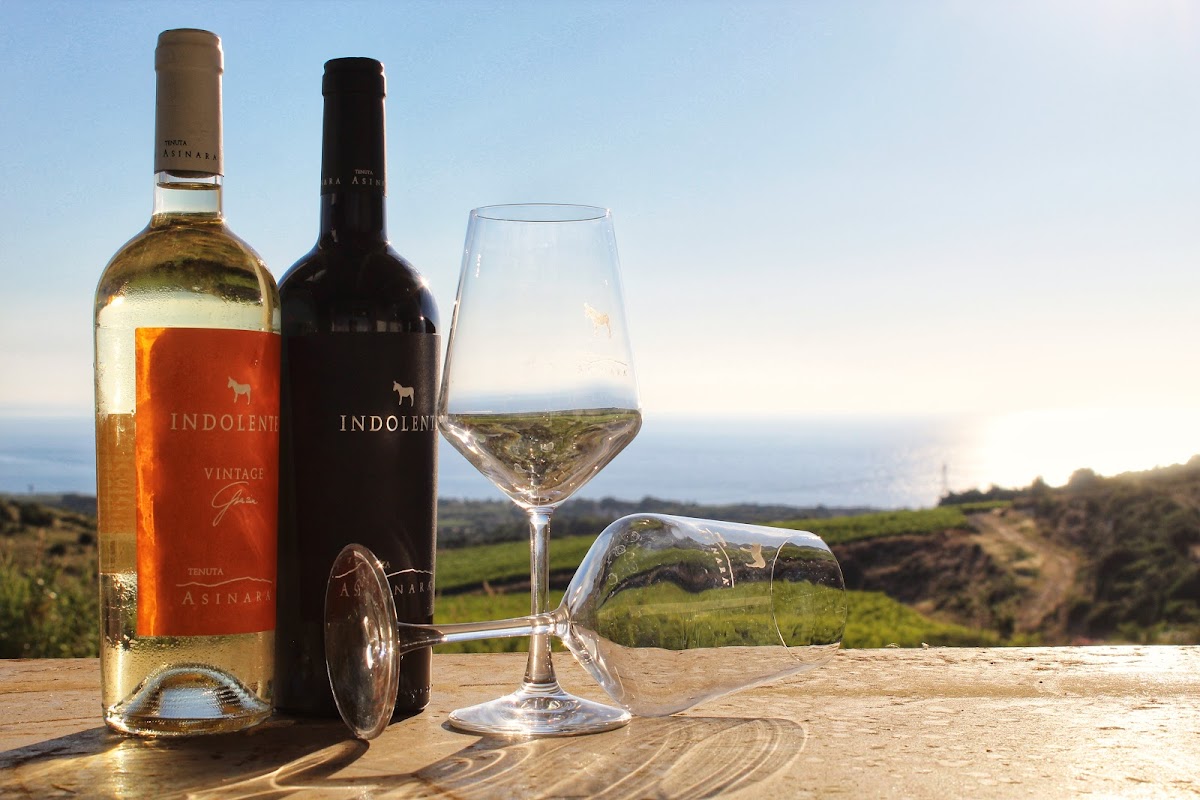 Tenuta Asinara Degustazioni — Ristorante a Sassari, Sassari