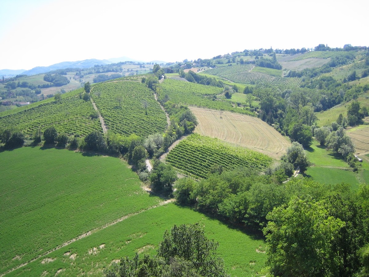 Cantina del Borgo — Ristorante a Parma, Parma