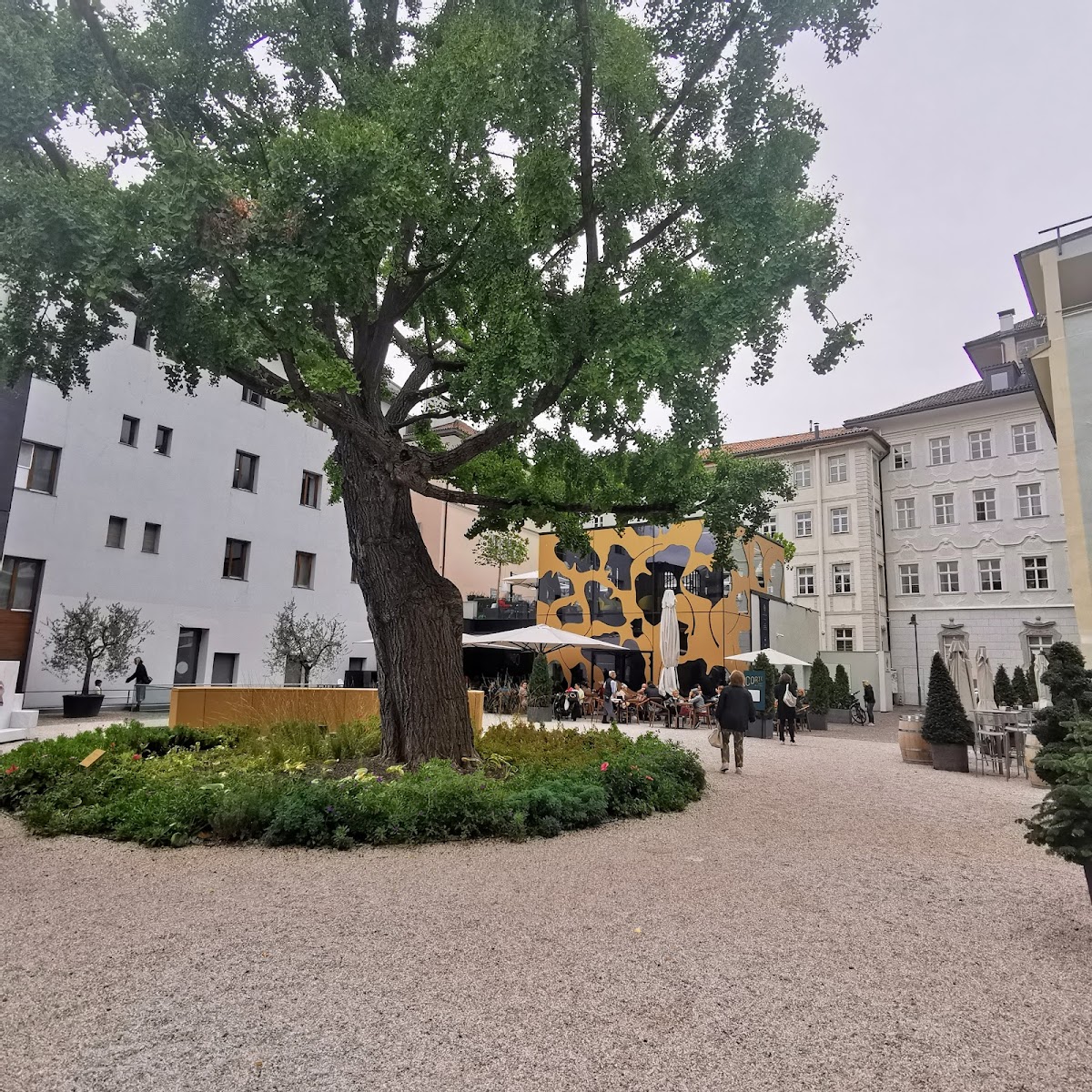 Cafè Monaco — Ristorante a Bolzano, Bolzano