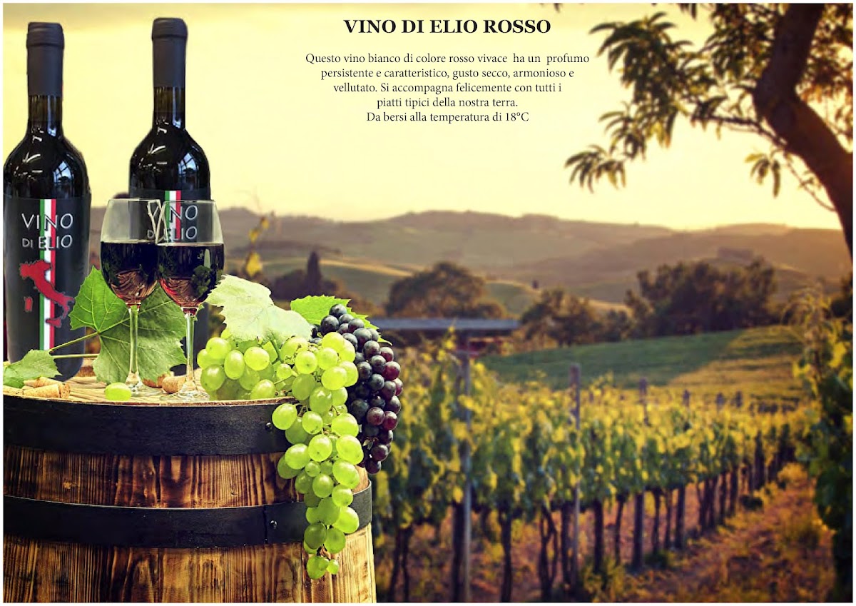La Cantina Elio Fabbri e Figli S.S.