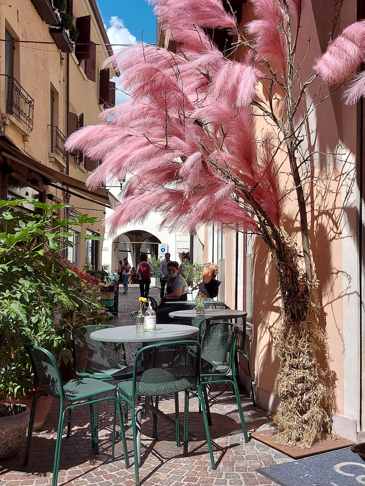 Osteria la Colonnetta — Ristorante a Treviso, Treviso