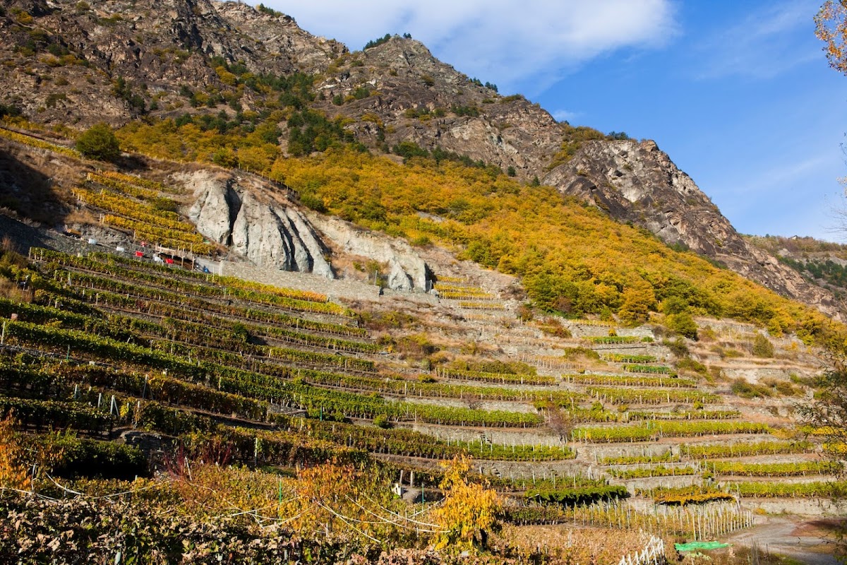 Cooperative De L'Enfer Soc. Coop. — Ristorante a Cervinia, Aosta