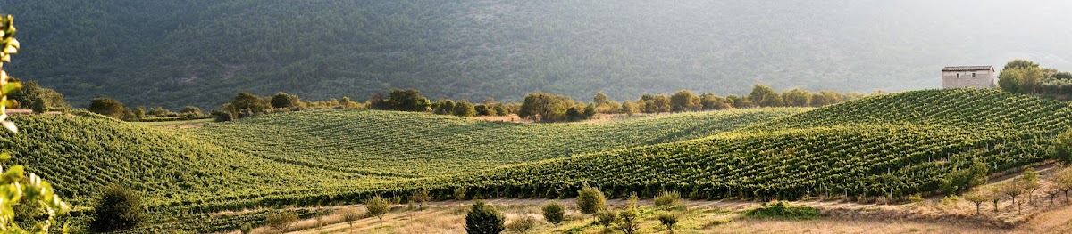 Antica Casa Vitivinicola Italo Pietrantonj — Ristorante a Sulmona, L'Aquila