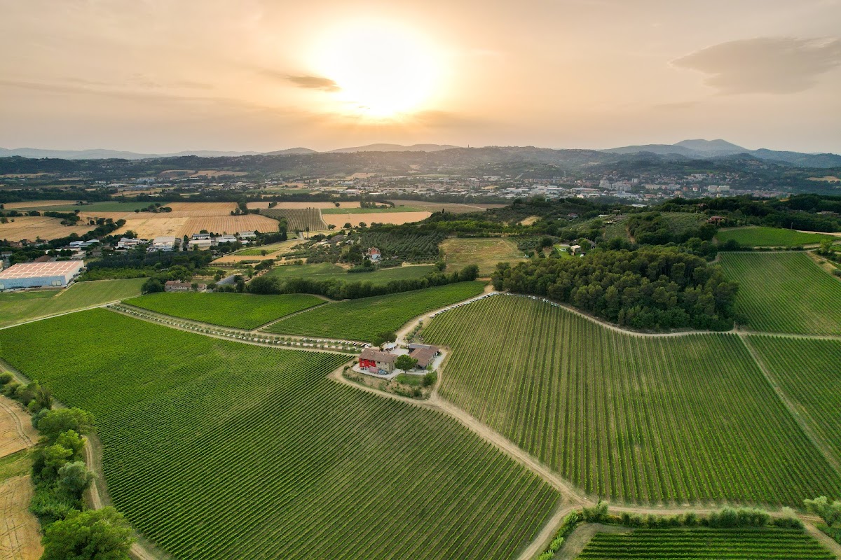 Terre Margaritelli - Vino Biologico — Ristorante a Perugia, Perugia