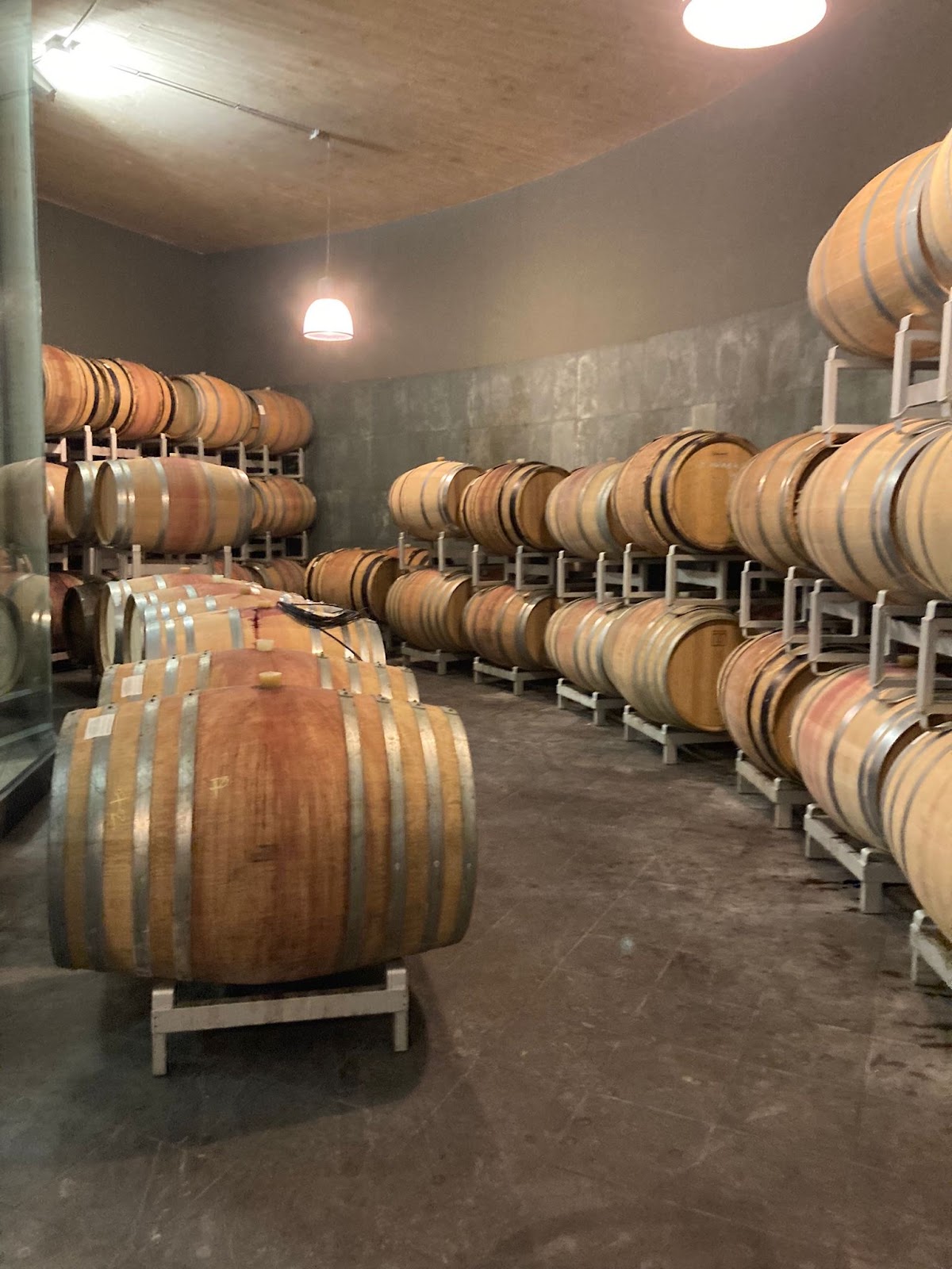 Azienda Agricola Biologica Clara Marcelli — Ristorante a Ascoli Piceno, Ascoli Piceno