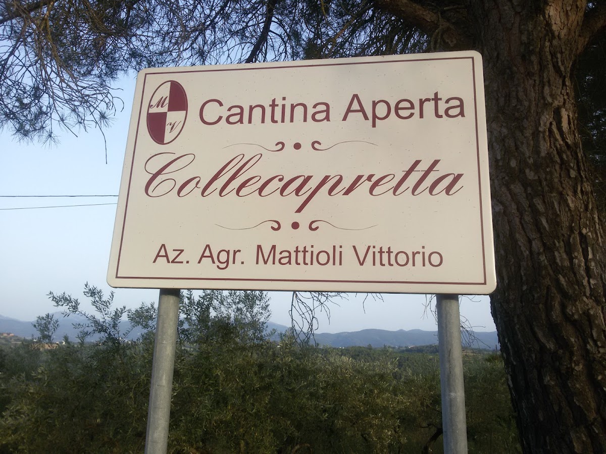 Cantina Collecapretta