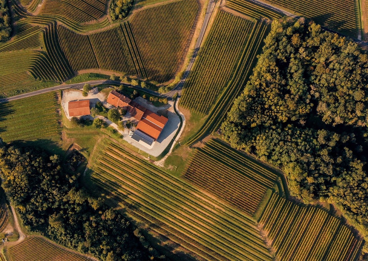 Ermacora Vini