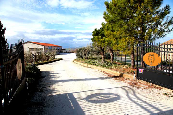 Cantina Bruscia — Ristorante a Urbino, Pesaro e Urbino