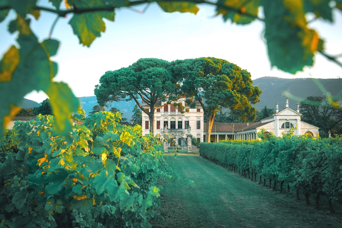 Le Vie Angarano Tour & Wine Tasting — Ristorante a Bassano del Grappa, Vicenza