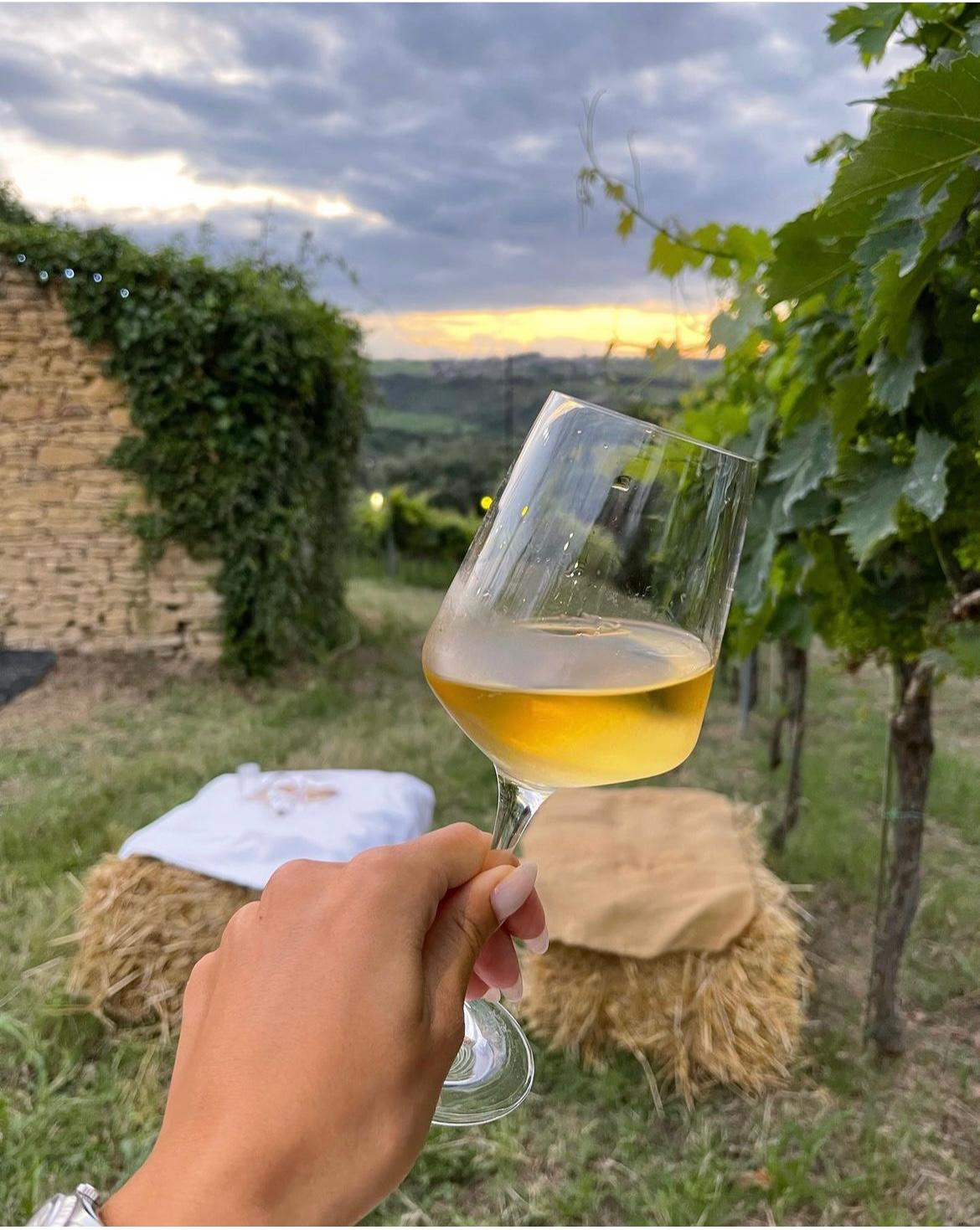 Tenuta Ferrante — Ristorante a Lanciano, Chieti