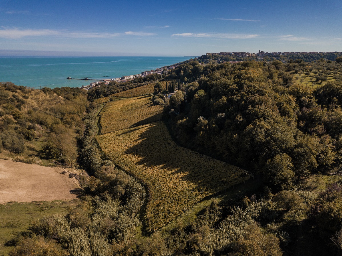Azienda Agricola Olivastri Tommaso — Ristorante a Lanciano, Chieti