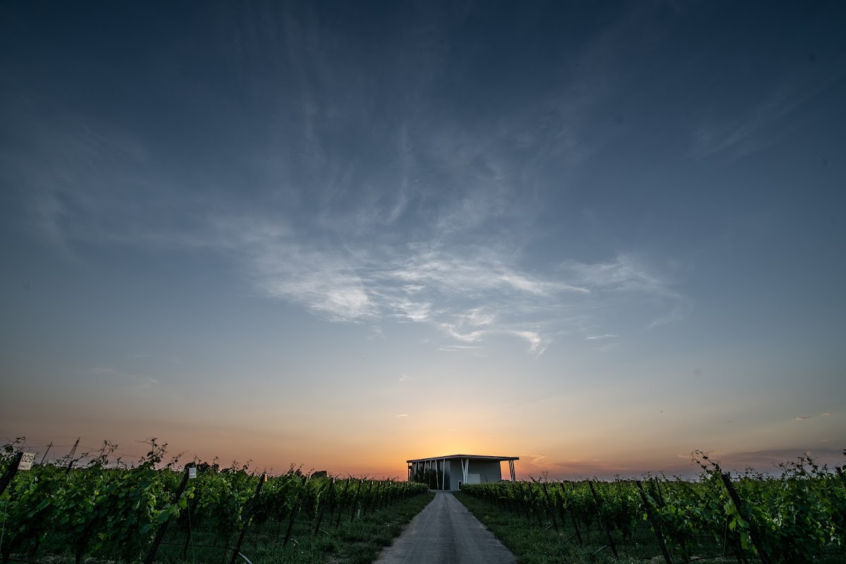 Cantina VentiVenti - Il Borghetto — Ristorante a Modena, Modena