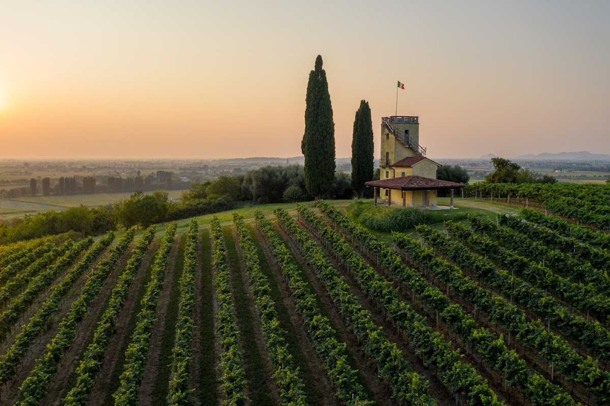 CANTINA MURARO '952 — Ristorante a Vicenza, Vicenza