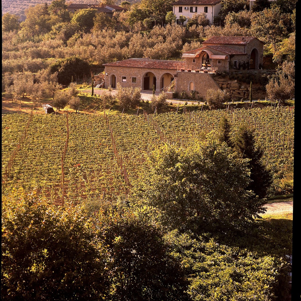 Baracchi Winery — Ristorante a Cortona, Arezzo