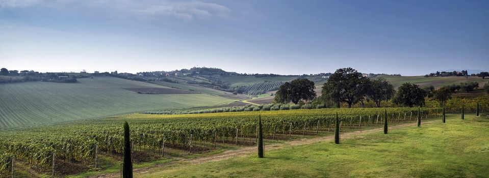 Colli del Cerreto - Azienda Vitivinicola — Ristorante a Rimini, Rimini