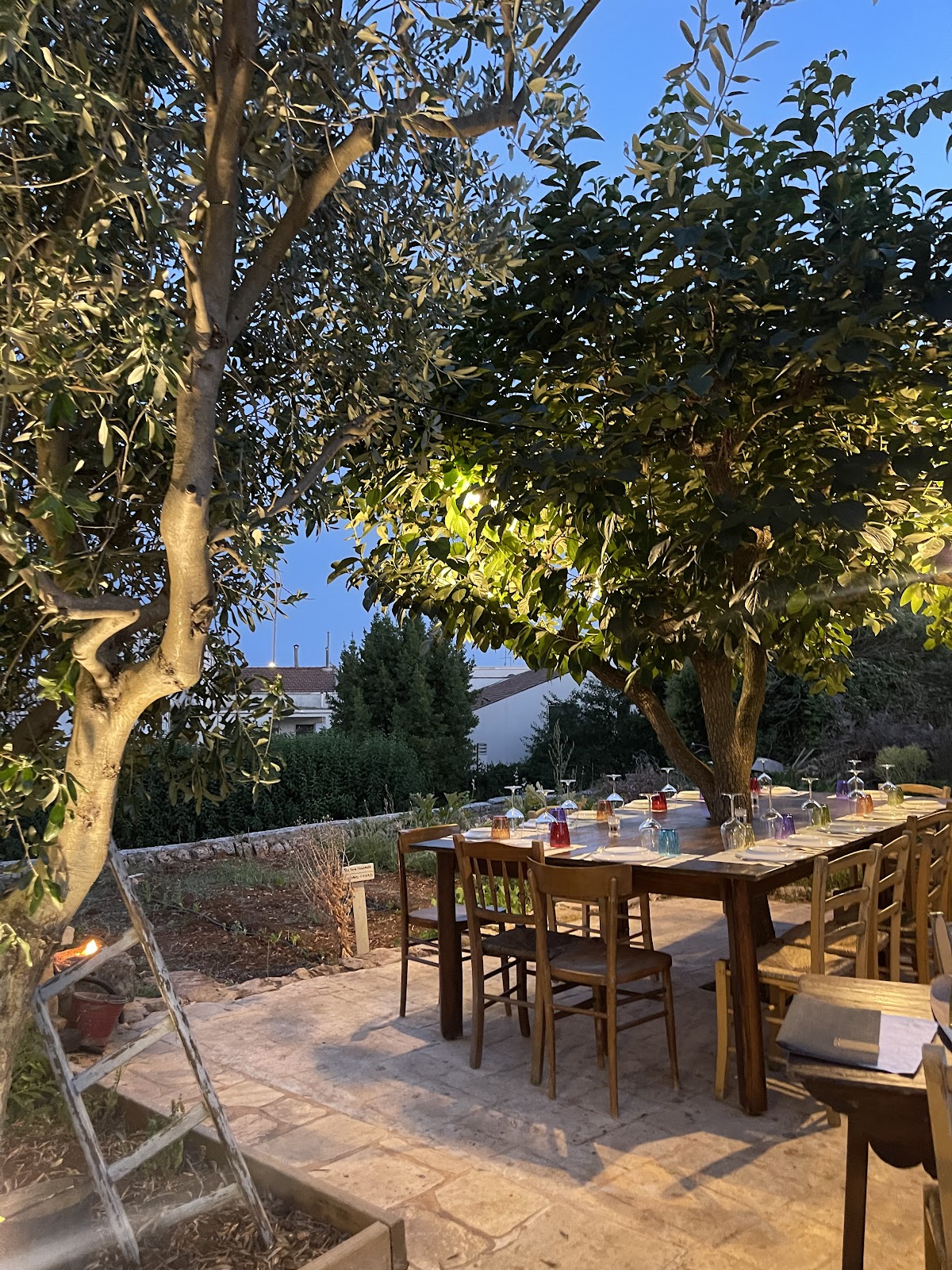Trattoria "Terra Madre" — Ristorante a Alberobello, Bari