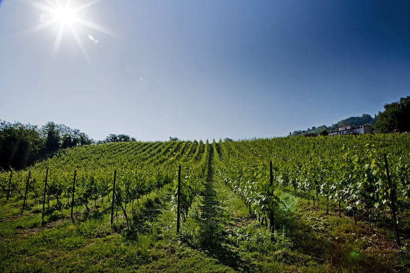 Tenuta Carbognano — Ristorante a Rimini, Rimini