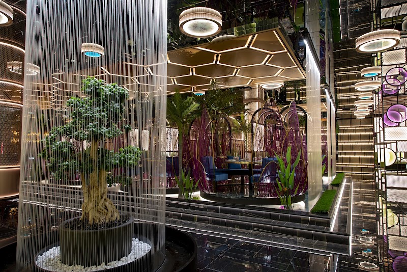 Koya Sushi Club — Ristorante a Pinerolo, Torino