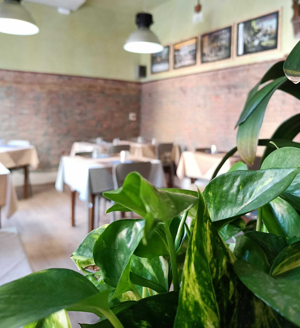 La Tecia Vegana — Punto di interesse a Venezia, Venezia