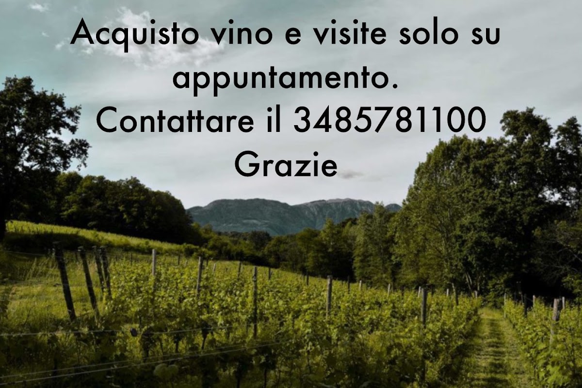 Azienda Agricola Calalta — Ristorante a Bassano del Grappa, Vicenza