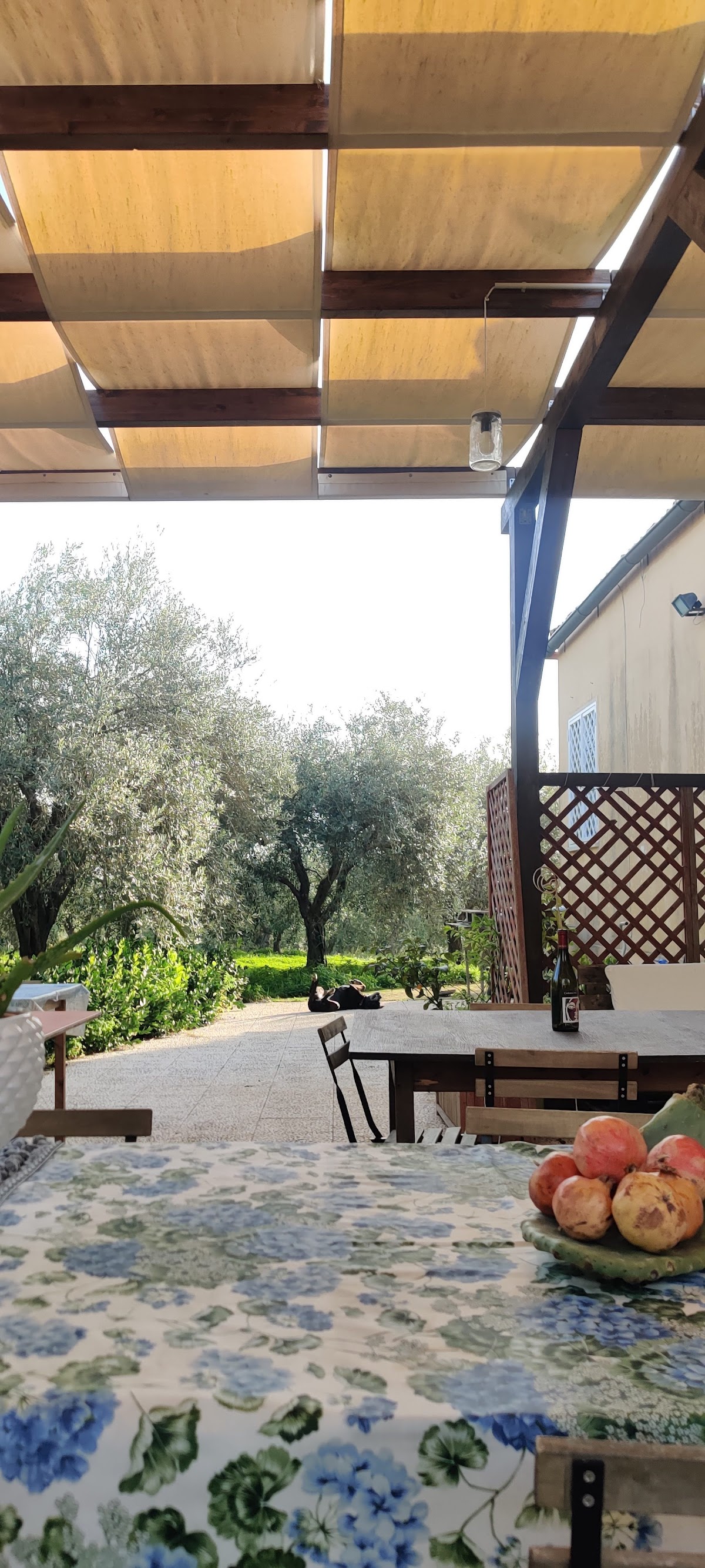 Cantina Fausta Mansio