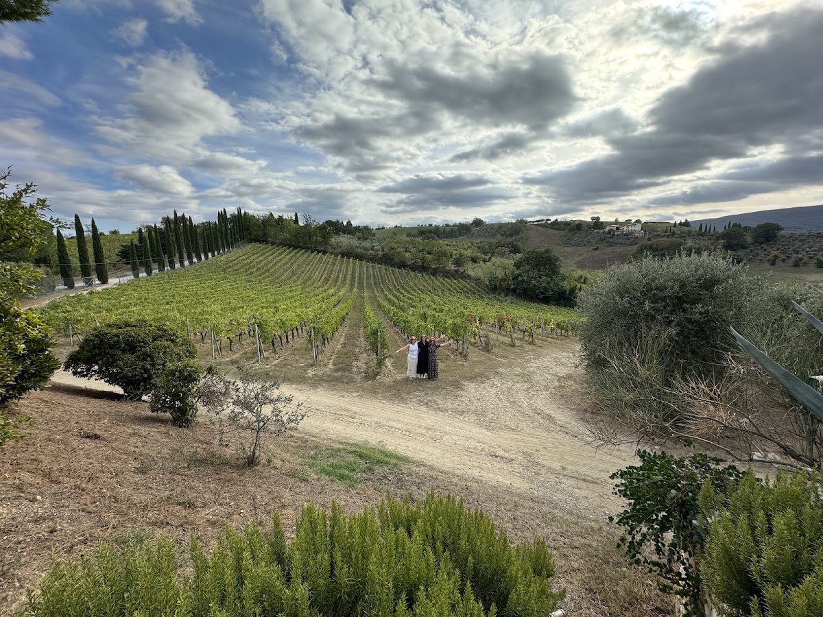 Cappellasantandrea — Ristorante a San Gimignano, Siena