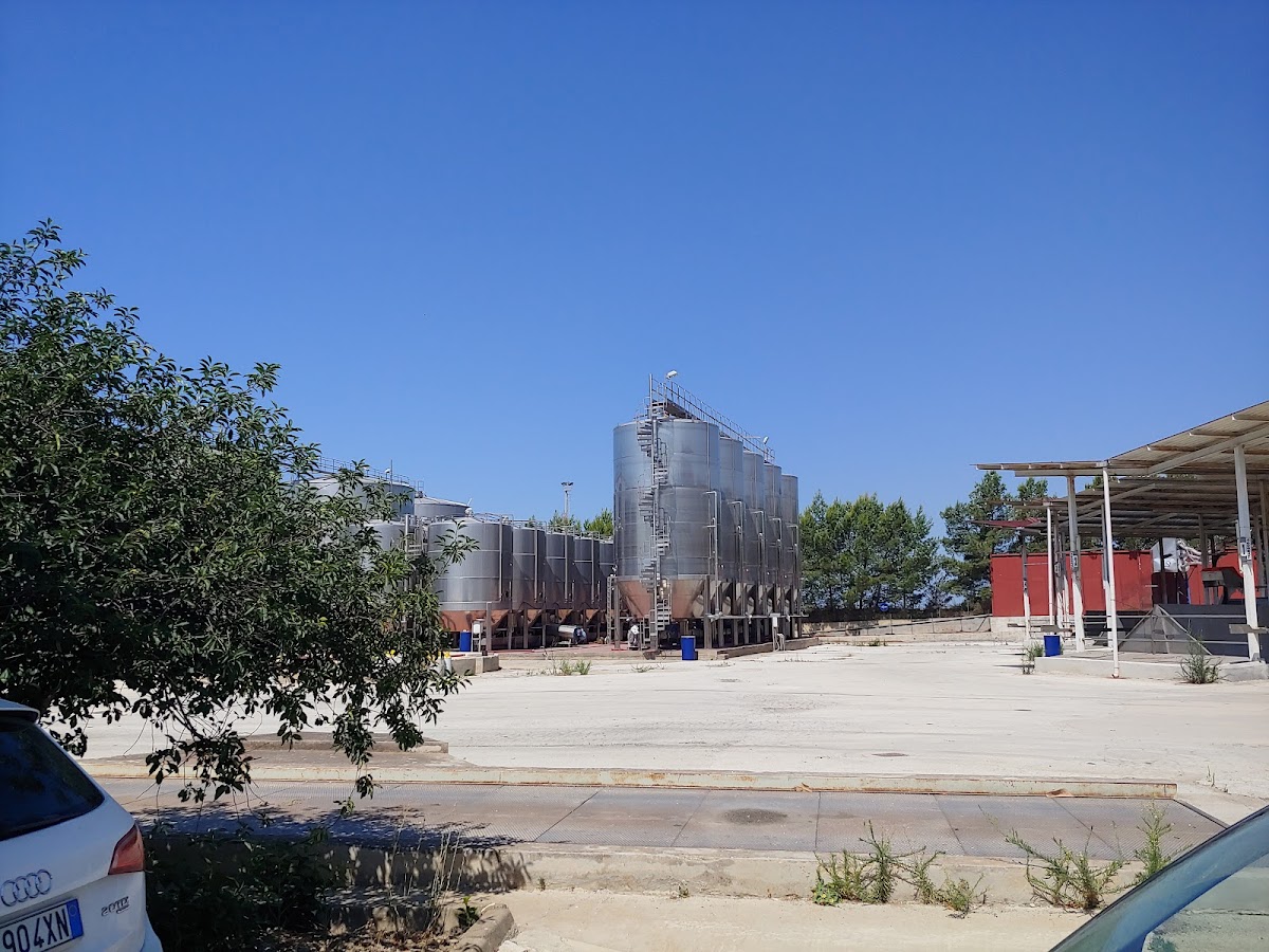 Cantina Sociale Aurora Valle Dei Templi — Ristorante a Agrigento, Agrigento