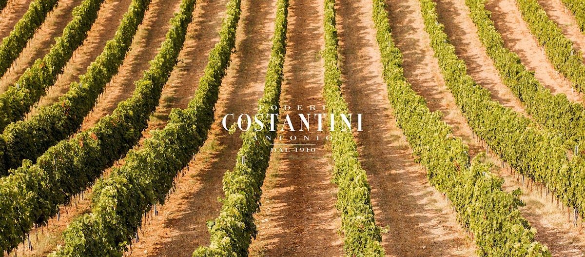 "Società Agricola Costantini Antonio S.R.L." — Ristorante a Pescara, Pescara