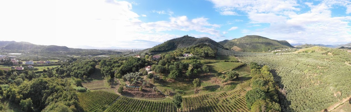 Azienda Agricola Montevetrano — Ristorante a Salerno, Salerno
