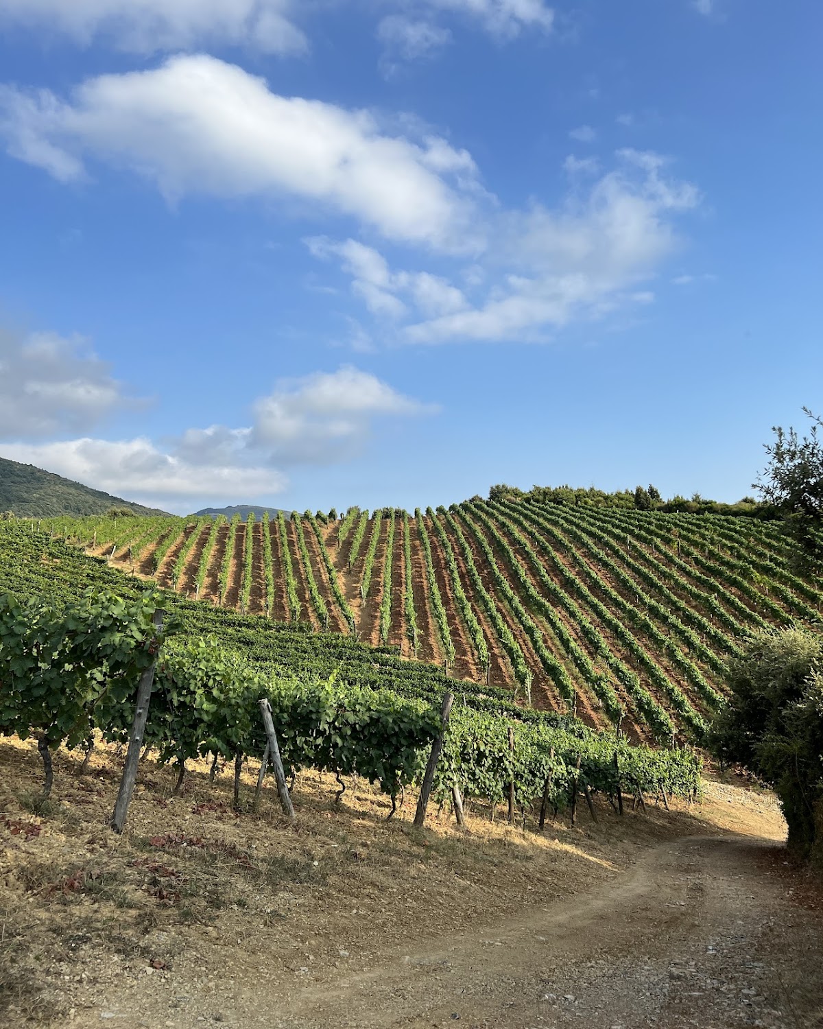 Azienda Agricola Donna Clara — Ristorante a Salerno, Salerno
