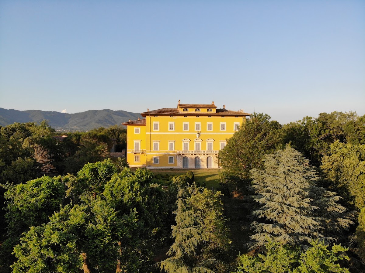 Tenuta di Frassineto - Tuscan Winery / Wine Tasting and shop / Cantina Toscana ad Arezzo — Ristorante a Arezzo, Arezzo